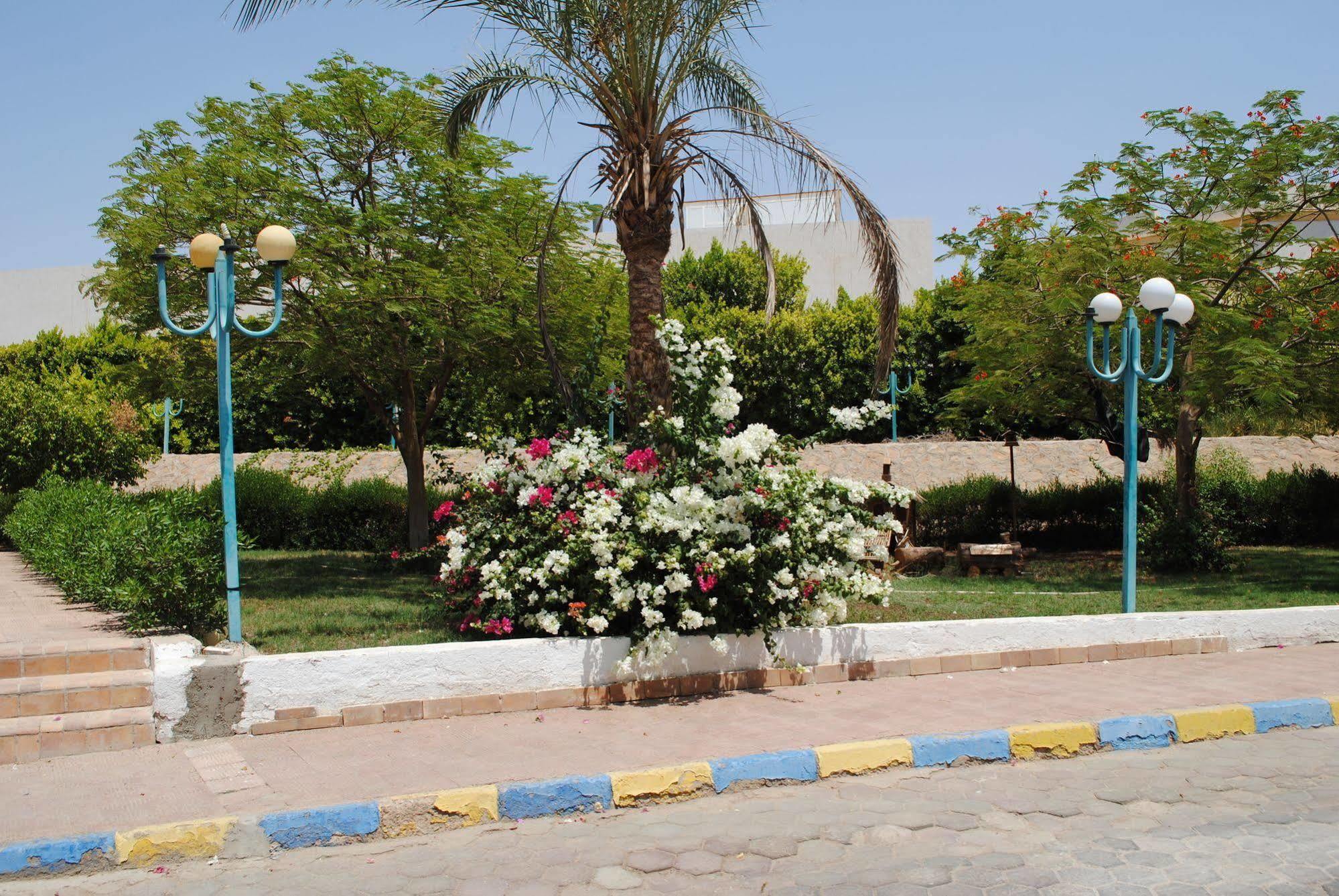 Sharm Cliff Resort Eksteriør billede